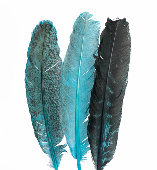 Pluma de Pavo Jaspeada – Paquete de 10 Piezas