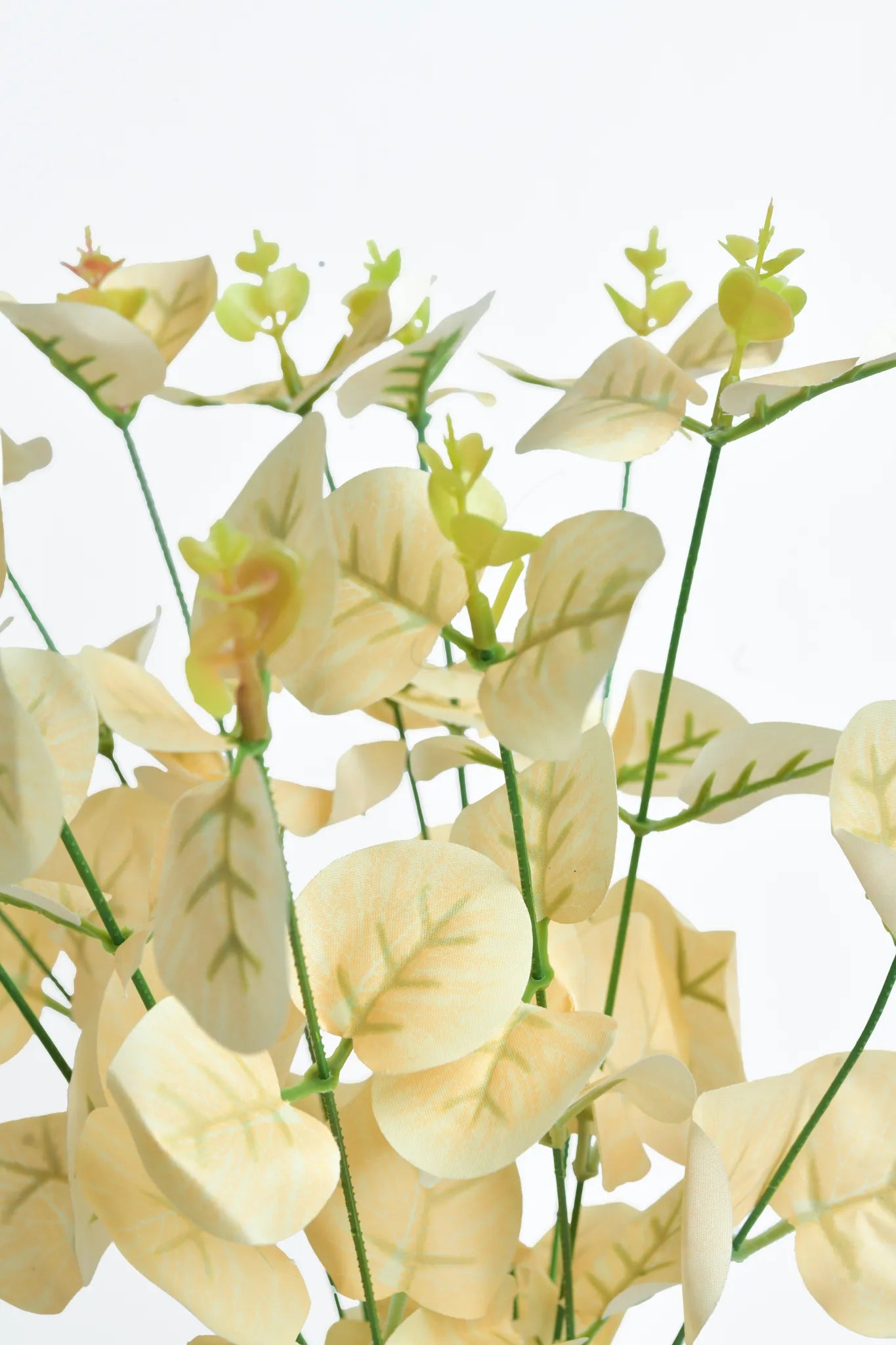 Detalle rama de eucalipto artificial color crema con hojas redondeadas y brotes verdes, ideal para arreglos florales, centros de mesa, bodas, eventos y decoración de interiores.