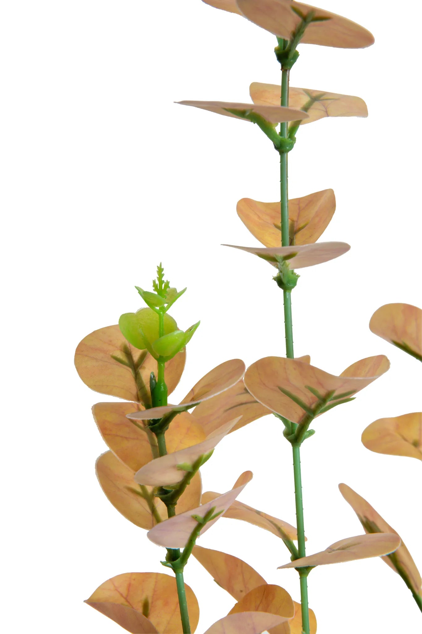 Detalle rama de eucalipto artificial en tono dorado con hojas redondeadas y brotes verdes, ideal para arreglos florales, centros de mesa, bodas, eventos y decoración de interiores.