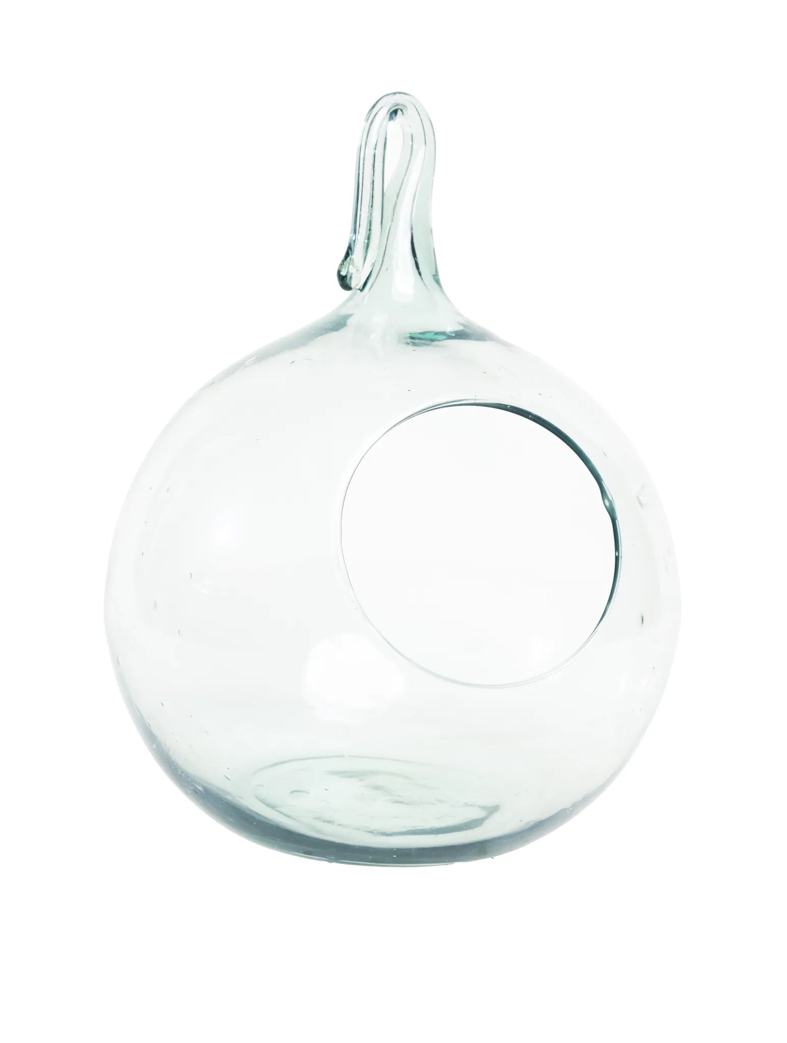 Florero colgante de vidrio transparente tipo terrario esférico para plantas, suculentas y decoración.