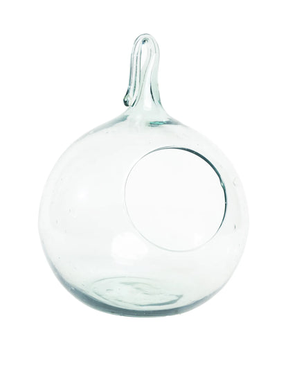 Florero colgante de vidrio transparente tipo terrario esférico para plantas, suculentas y decoración.