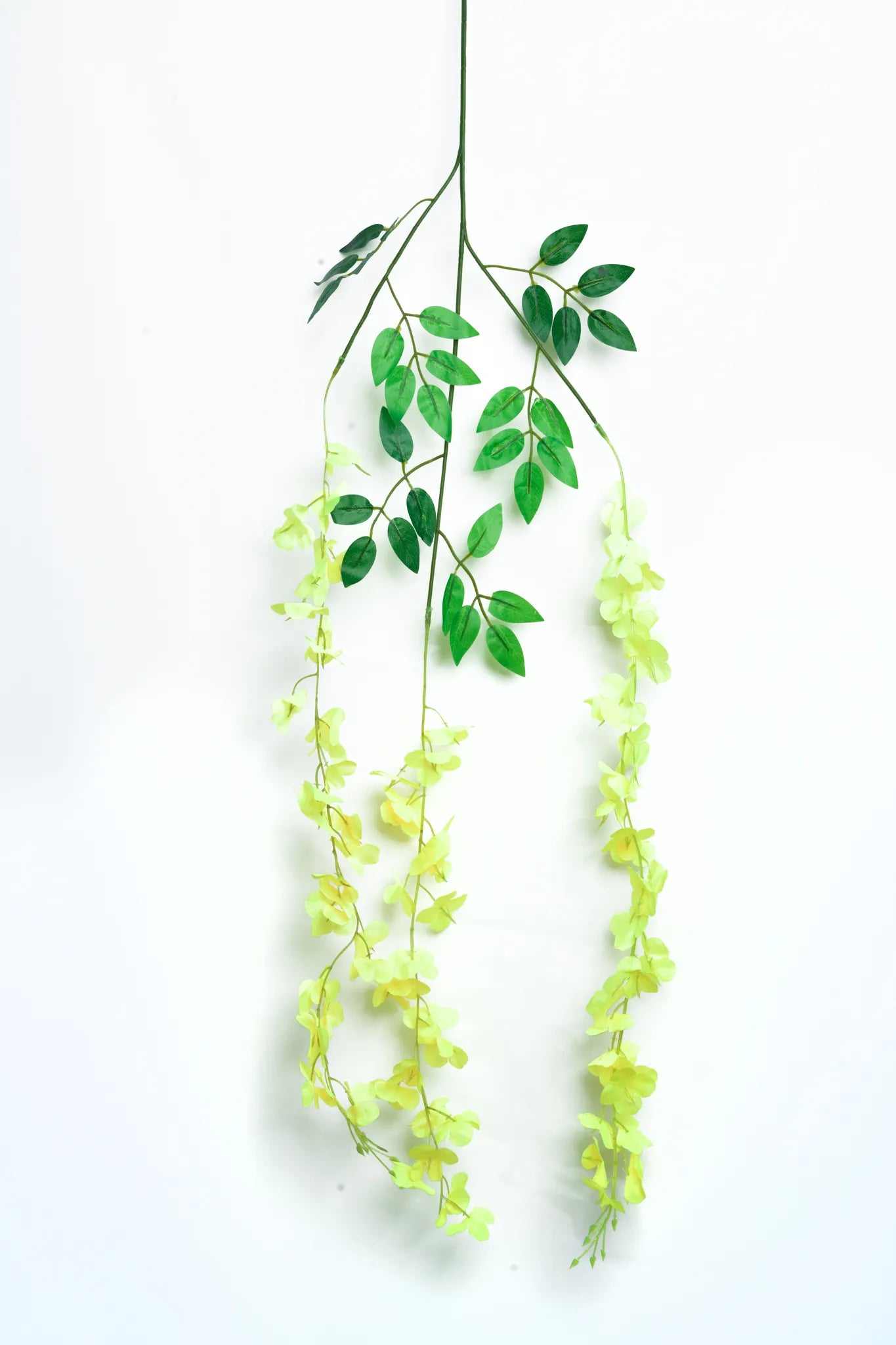Guirnalda colgante artificial de wisteria amarilla con hojas verdes y flores en cascada, ideal para decorar bodas, eventos, pérgolas, arcos florales y espacios interiores.