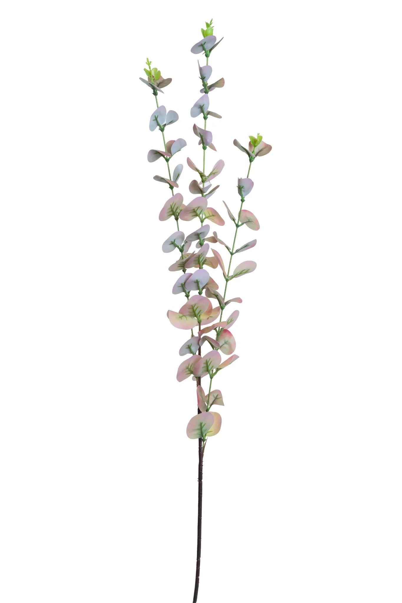 Rama artificial de eucalipto rosa con hojas redondeadas en tonos rosados y verdes, ideal para arreglos florales, centros de mesa, decoración de eventos e interiores.