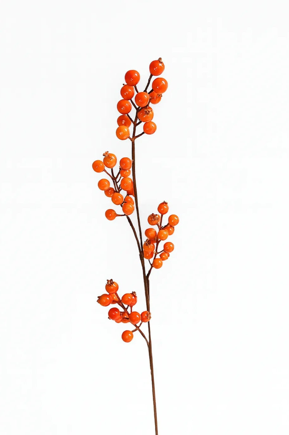 Detalle de una corona decorativa de otoño con ramas artificiales de bayas naranjas, hojas, calabaza y follaje decorativo.