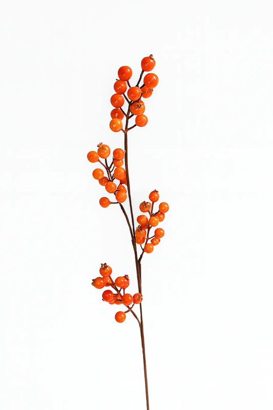 Detalle de una corona decorativa de otoño con ramas artificiales de bayas naranjas, hojas, calabaza y follaje decorativo.