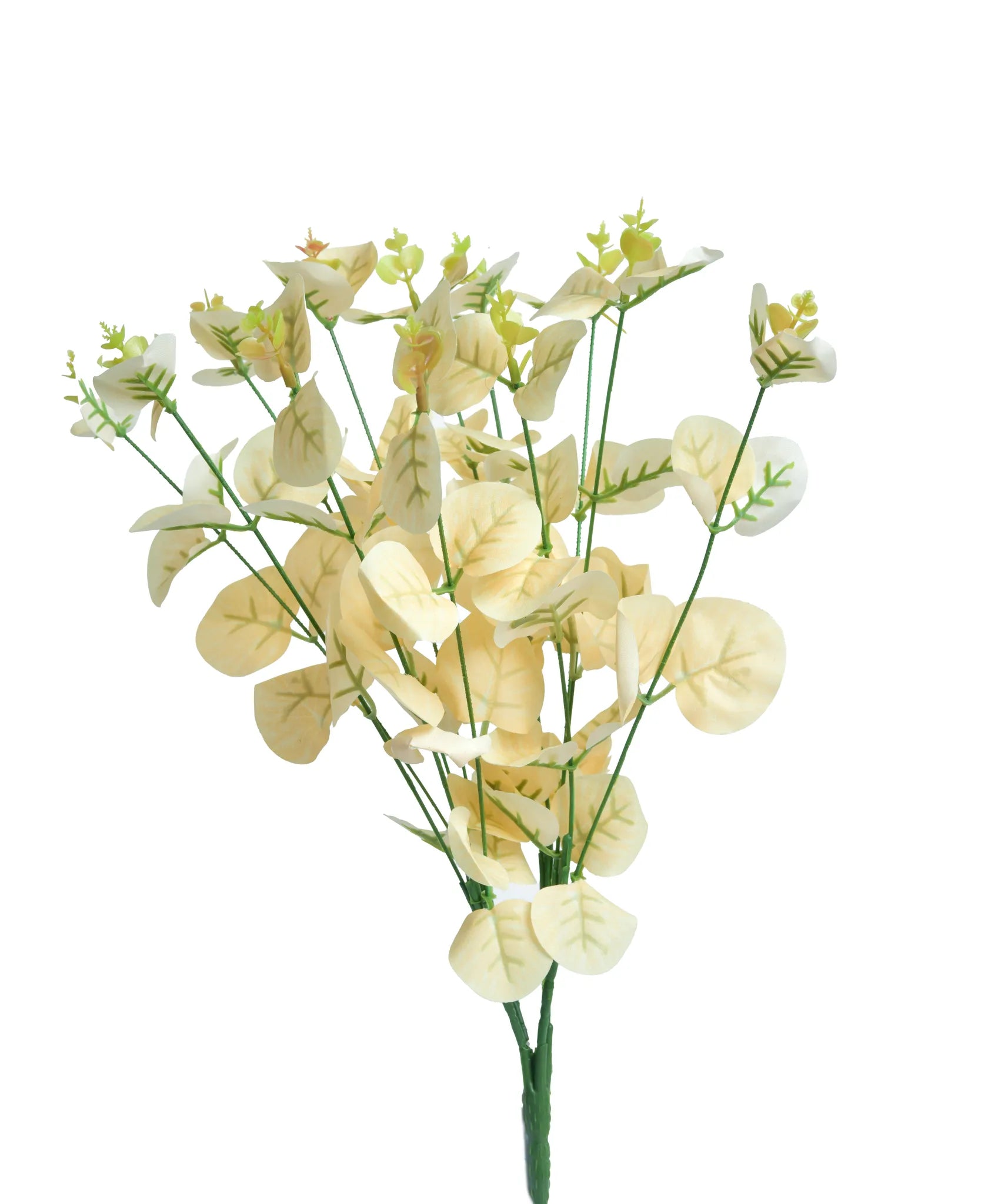 Rama de eucalipto artificial color crema con hojas redondeadas y brotes verdes, ideal para arreglos florales, centros de mesa, bodas, eventos y decoración de interiores.